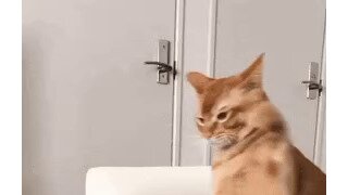 녹음기 틀어놨나? ㅋㅋㅋ