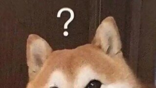 [약후방?] 회원님의 취향은 훌륭합니다...