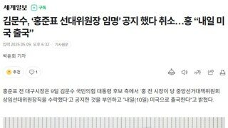 홍준표가 김문수 선대위원장 안 받았네요 뭐야 재미있다가 말았네요