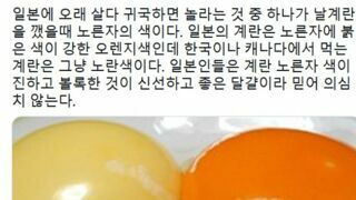 왜국 계란의 비밀