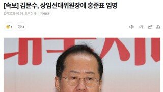 김문수 홍준표 연합 - [속보] 김문수, 상임선대위원장에 홍준표 임명