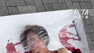 너무 야하다고 말 나온 동물보호 단체의 시위.mp4...