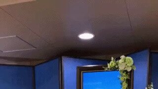 호불호 영정사진