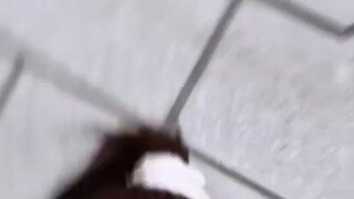 츄 셀카