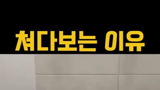 개들이 주인을 갸우뚱 쳐다보는 과학적인 이유.mp4...