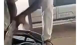 차엔진룸에 들어간 거대한 뱀