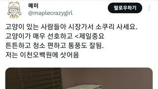 떼껄룩들이 엄청 좋아한다는 아이템