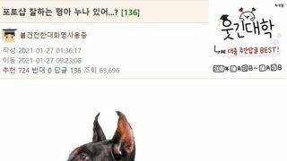 멍멍이가 아래를 보게 해주세요