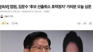 김문수 효력정지 가처분신청 심문오늘바로 ㅋㅋㅋ