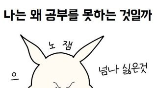 공부는 왜 못하는 것일까?