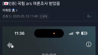 국힘 ars 문항