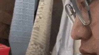 집냥이 선정 집에서 가장 안전한 장소 1위