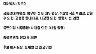 김문수 선대위 라인업