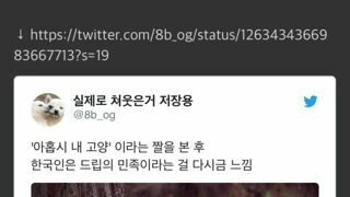 아홉시 내 고양
