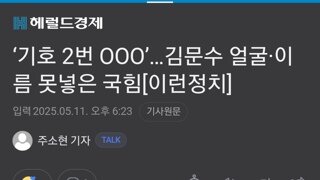 국힘, 