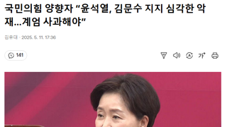 국민의힘 양향자 “윤석열, 김문수 지지 심각한 악재…계엄 사과해야”
