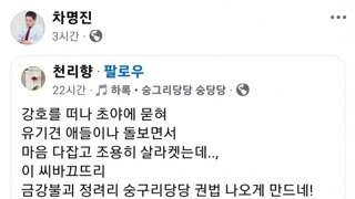 눈 돌아버린 김문수의 오른팔