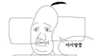 지금 한덕수 상황을 표현한 짤