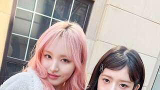 아이브 레이