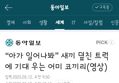 썸네일 이미지