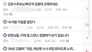 국힘 비대위 갤러리 추천글