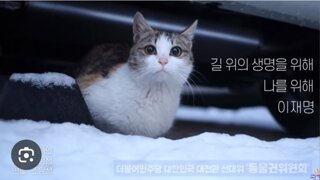 개인적으로 이번 대선 이재명측에게 바라는 한 가지