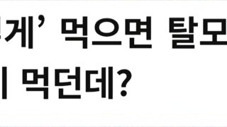 달걀, ‘이렇게’ 먹으면 탈모 온다… 일본에서 흔히 먹던데?