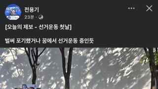 김문수 선거 유세 근황