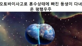 혼수상태에 빠진 동생이 다녀온 평행우주