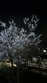 인벤 관리자야 노냐???
