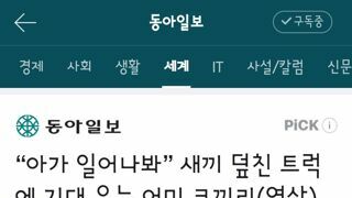 아가 일어나봐” 새끼 덮친 트럭에 기대 우는 어미 코끼리