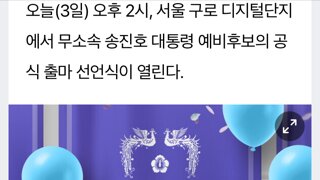 대통령 예비후보