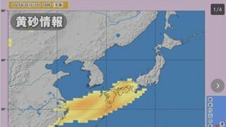 중국놈들 이제 한국 거르고 바로 일본으로보내네