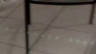 집사보면 이쁘게 우는 냥이들
