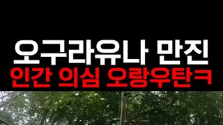 저 새끼 저거....
