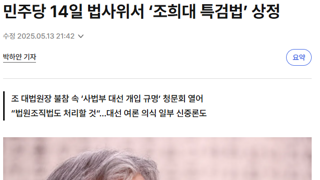 민주당 14일 법사위서 ‘조희대 특검법’ 상정