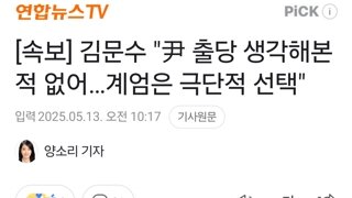 김문수 