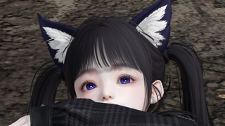 고양이
