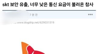 skt 보안 유출, 너무 낮은 통신 요금이 불러온 참사