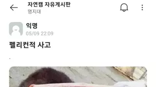 본받으면 좋은 사고방식.jpg
