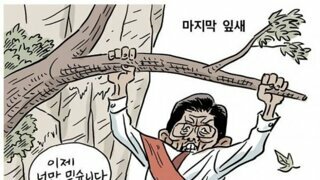 장도리) 마지막 잎새