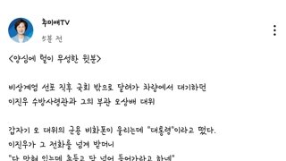  추미애