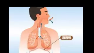 폐활량 자가진단 하는법