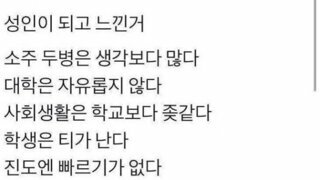 성인이 되면서 느낌점