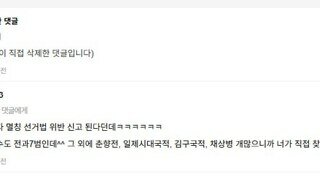 요즘 삭제된 댓글들 보면 거의 이런류