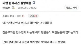 괴한한테 벽돌 맞은 편돌이