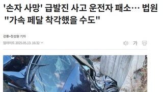 '손자 사망' 급발진 사고 운전자 패소