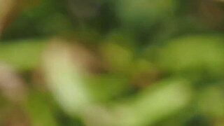 커여운 공작거미