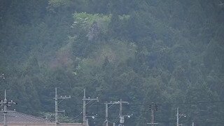 실제로 움직이는 증기기관 열차