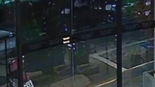 동료를 구하는 킹냥이.mp4...